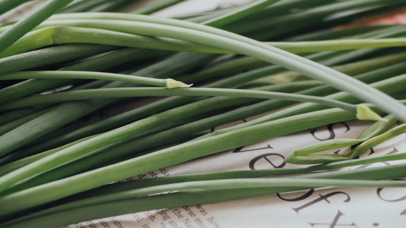 Aroma, Appearance, and Flavor Profile of Lemongrass | BargzNY