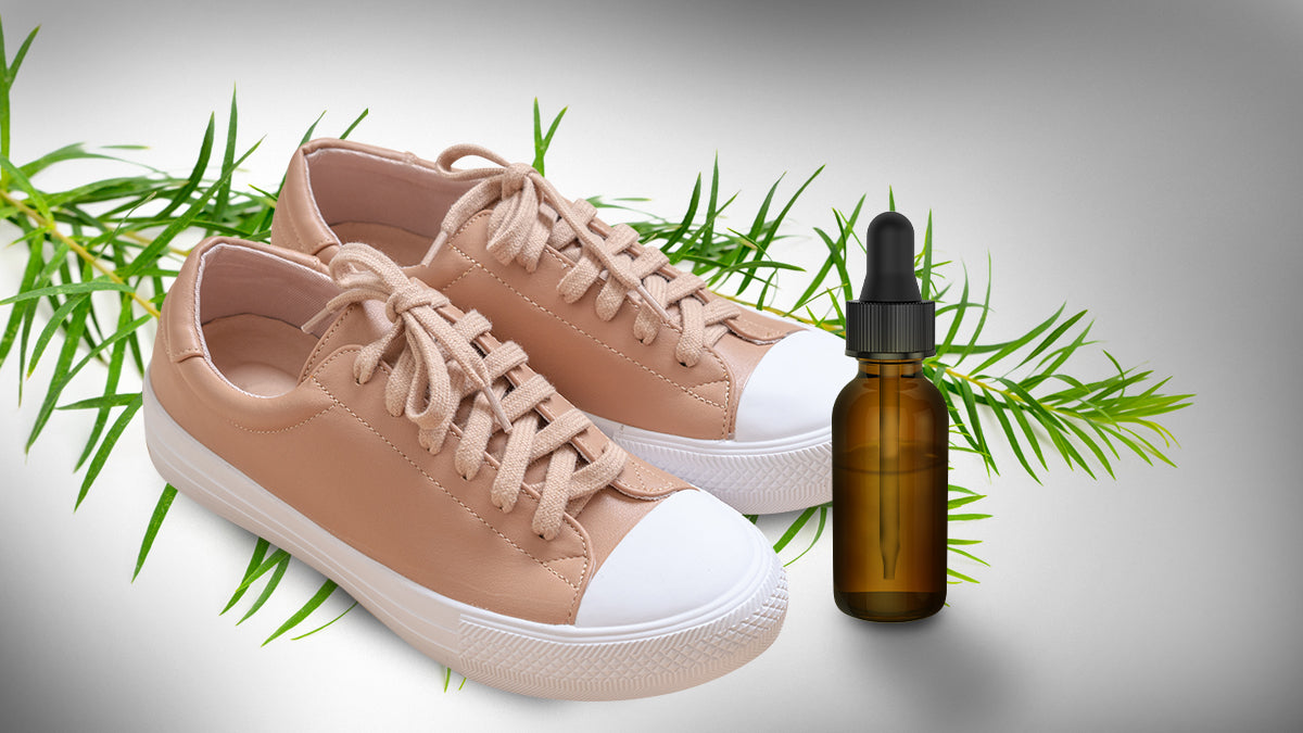 How to Deodorize Smelly Shoes Using Tea Tree Oil - BargzNY
