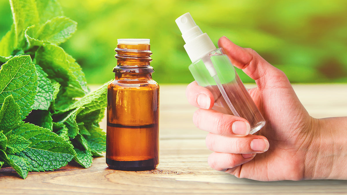 Learn To Make Bug Spray From Peppermint Essential Oil