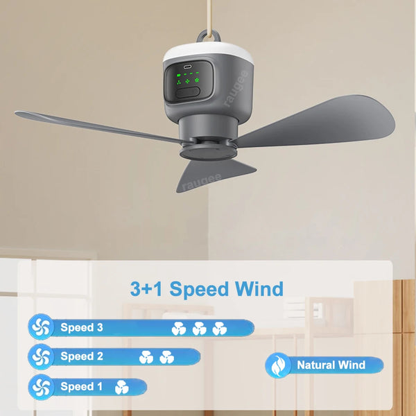 The AeroDome 12K: Hanging Fan + Remote + Light