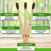 Dental Expert Biodegradable Bamboo Toothbrushes, Is Wooden- Pack of 3