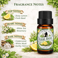 Bargz Feral Basil Fragrance Oil (Inspired by Maison Margiela Replica 'Under the Lemon Trees')
