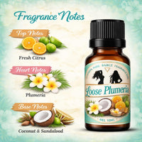 Bargz Loose Plumeria Fragrance Oil