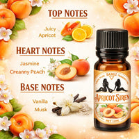 Bargz Apricot Siren Fragrance Oil