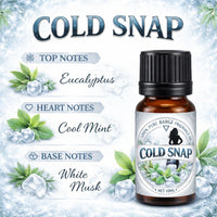 Bargz Cold Snap Fragrance Oil