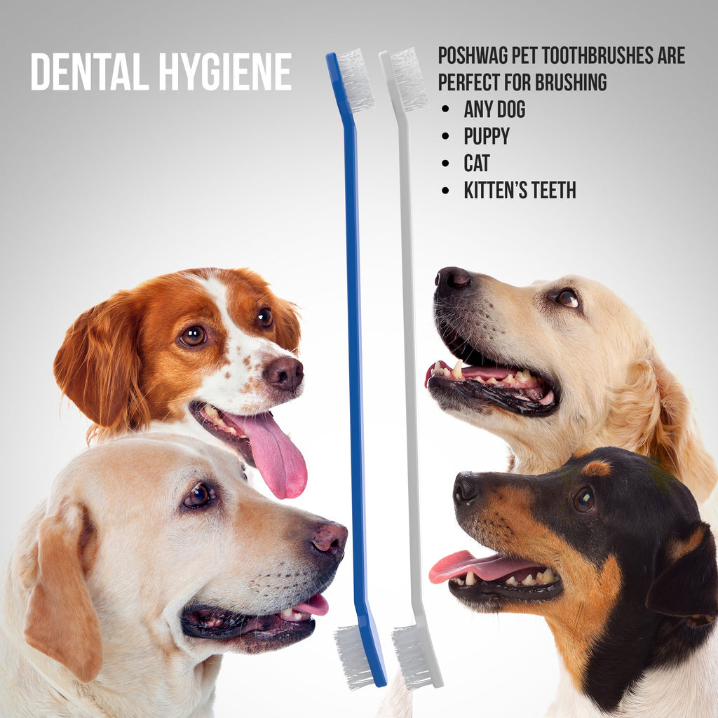 Poshwag Dog Tooth Brush Dog Set Kit [Remove Plaque & Brighten Your PET'S Teeth] Dog Brush (Dog Tooth brush)